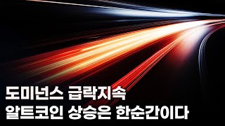 도미넌스 급락지속. 알트코인 상승은 한순간이다. 비트코인, 라그랑주, 리졸브, 파티코인, 메이플파이낸스, 솔라나, 비트코인에스브이, 니어프로토콜