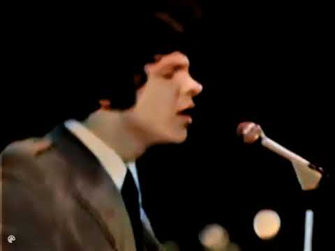 The Fortunes - You've Got Your Troubles (1966)