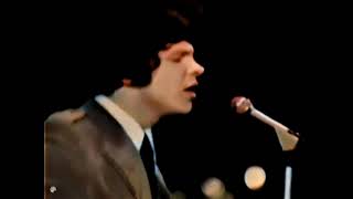 The Fortunes - You've Got Your Troubles (1966)