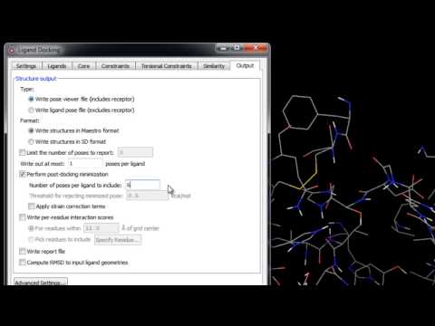 Glide Ligand Docking - Post-Docking Minimization