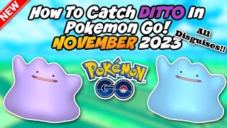 How To Catch A Ditto November 2023! All Ditto Disguises!