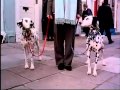 102 Dalmatians 2000 Official Theatrical Trailer