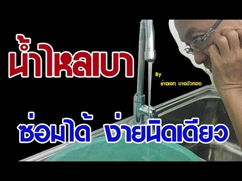 วิธีโบราณของการเพิ่มสมาชิก ม้าเชื้อโรคคาลินินกราด