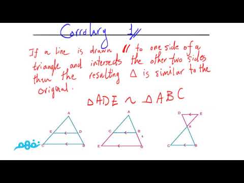 Similarity of Triangle -  الرياضيات لغات - الصف الأول الثانوي - الترم الأول - نفهم