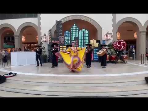 Promotional video thumbnail 3 for Musica para toda ocasion y convenciones