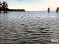 Shark Night 3D Last Scene