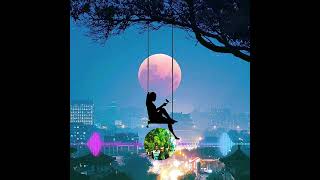 Download lagu 𝘔𝘐𝘊𝘏𝘖 𝘗𝘌𝘓𝘓𝘈~𝘒𝘖𝘕𝘌 𝘔𝘈𝘓𝘜𝘒 MUSIK TERBAR 2025 ~2026 #coversong #music #papuapegunungan mp3