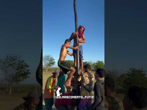 Pau de sebo no CAMPO DA SENZALA #carpina #pernambuco brincadeira tradicional no Brasil🤣 #dinheiro