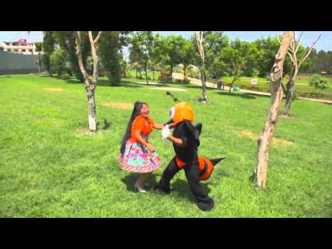 NARANJITA DE SUCRE   ZANCUDO MAÑOSO