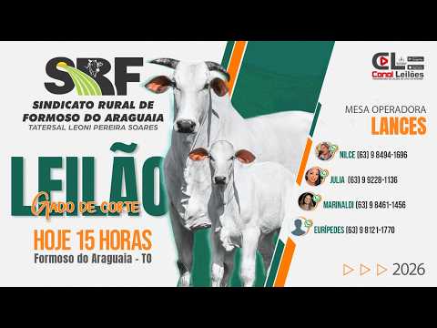 Leilão Tradicional Gado de Corte Sind. Rural de Formoso do Araguaia-TO 15/05/2026