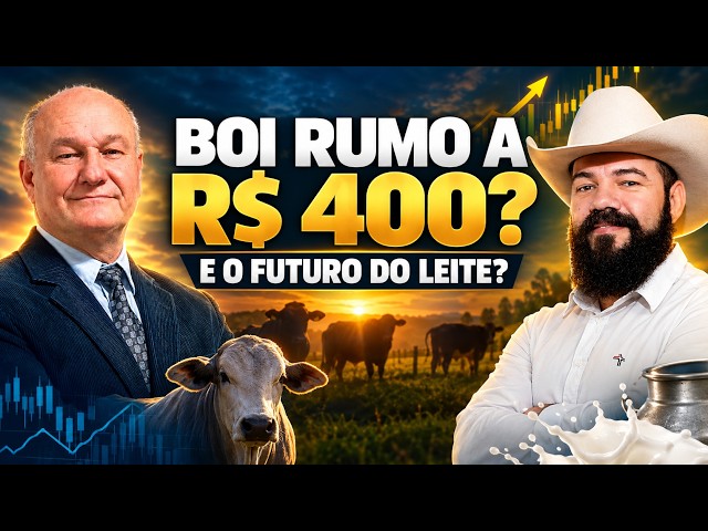 Boi Gordo Rumo aos R$400 e Mercado Futuro do Leite: O Que Esperar da Pecuária?