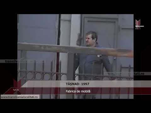 TĂȘNAD  (1997) -  Fabrica de mobilă