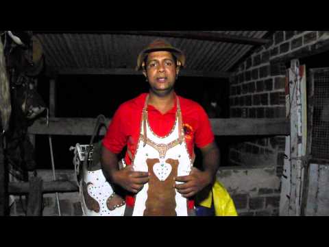 TOADA DO BOI PELEZINHO