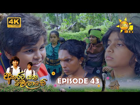 Hiru TV