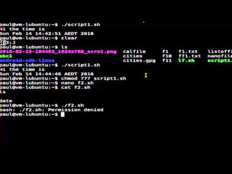How to execute a shell script in Linux