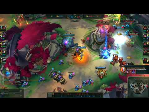 Rift Herald ends the game when noone can defend on Nexus Blitz