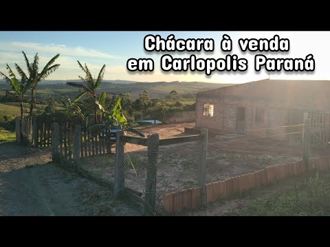 Chácara à venda em Carlopolis Paraná 