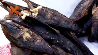 Module 1 - INTRODUCTION TO GOOD HYGIENE AND GOOD FISH HANDLING PRACTICES