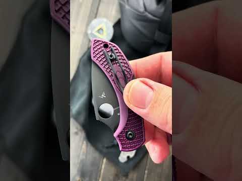 Spyderco Dragonfly Folding Knife - Overview and Review