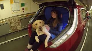 Traveling with a dog and Nissan LEAF on EuroTunnel