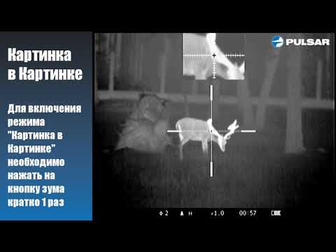 Apex Pulsar Картинка в Картинке, Плавный зум