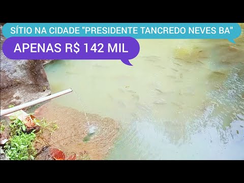 SÍTIO NA CIDADE "PRESIDENTE TANCREDO NEVES" BA CÓDIGO 0210 ZAP 73981663547 MARCIO