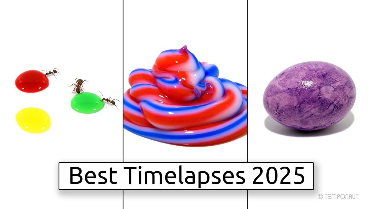 Best TEMPONAUT Timelapses 2025