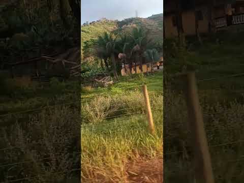 Frei Lagonegro minas gerais, natureza que encanta o mundo, belezas de minas, bela paisagem