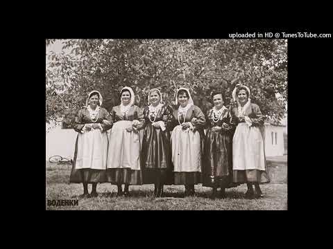 Vodenki - More snošči dojde čuždi junak