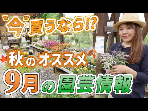  9月に蒔く種は何でしょうか？ 10種類の野菜と花が旬を迎えます！  庭園