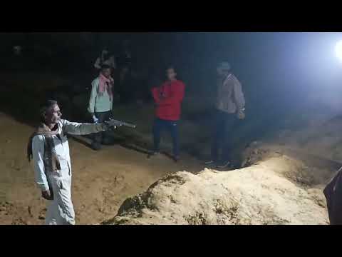 Desi katta practice with silencer 😊