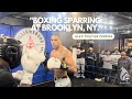 Boxing Sparring In Brooklyn NY Alex Poatan Pereira