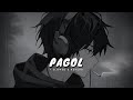 Pagol Slowed Reverb Deep Jandu