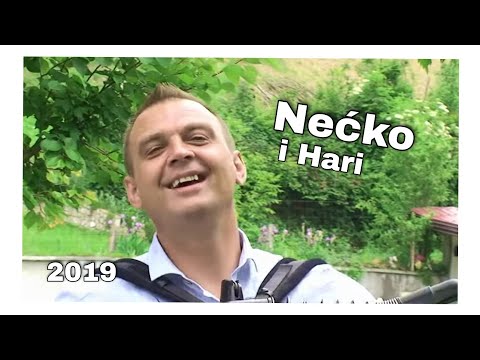 Nećko i Hari - Milost tuđe ruke | 2019