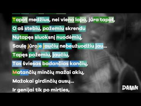 Subrosa RA - Be Linijų | DAMN rhymescheme