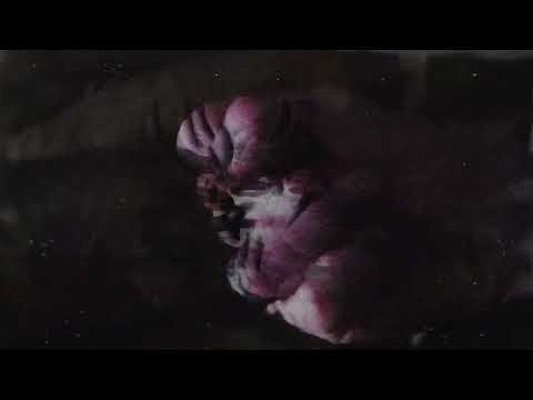 Suffering Quota - Out