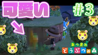 動物は可愛いものだと思い出した男＃3【あつまれどうぶつの森】