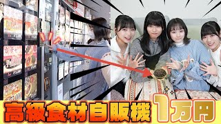 PiPPon 中延店