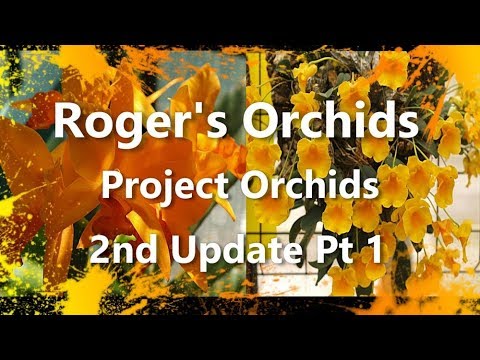 Project Orchids - 2nd Update Pt 1