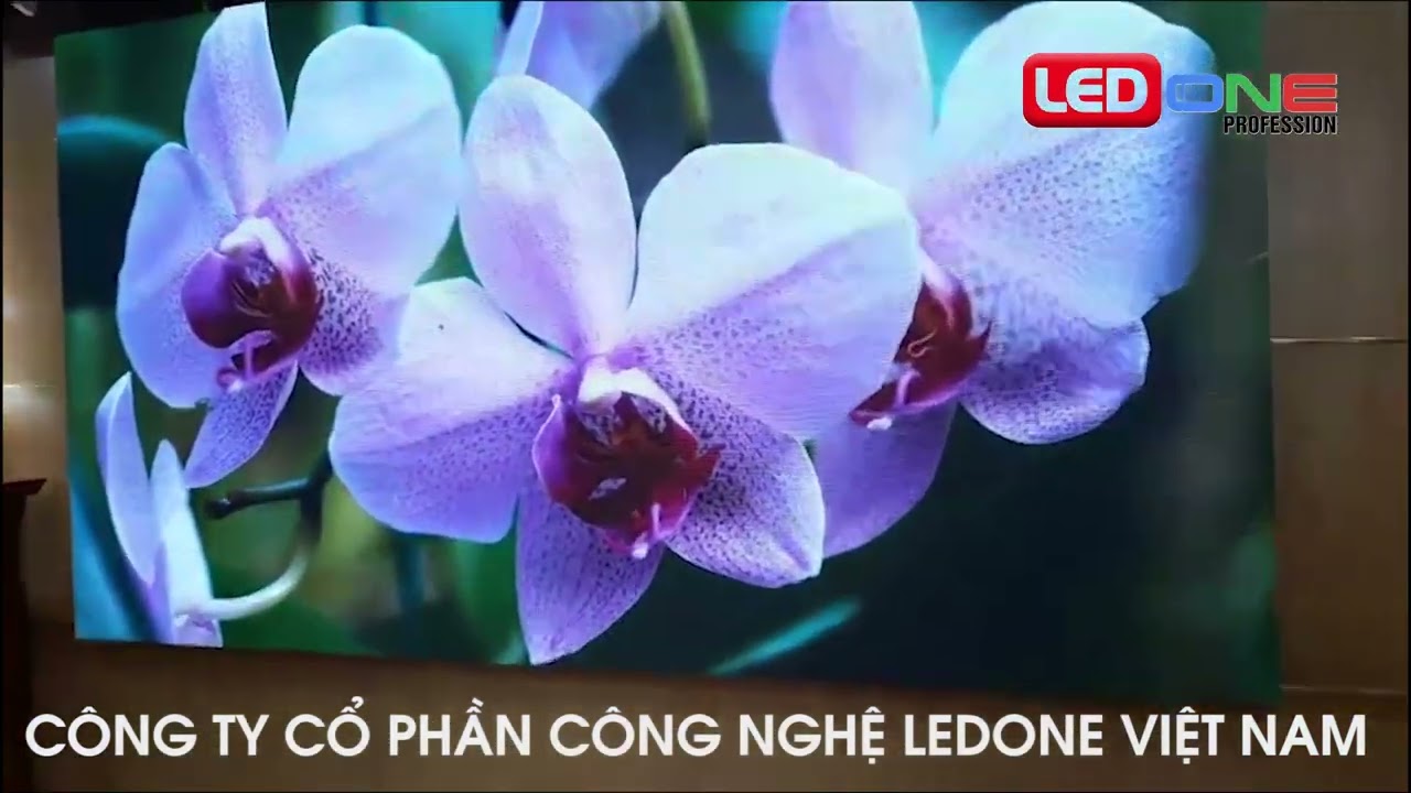 Bộ Xây Dựng - Viện Đào Tạo và Bồi Dưỡng Cán Bộ Xây Dựng | Ledone thi công dự án 8m2 màn hình LED P2