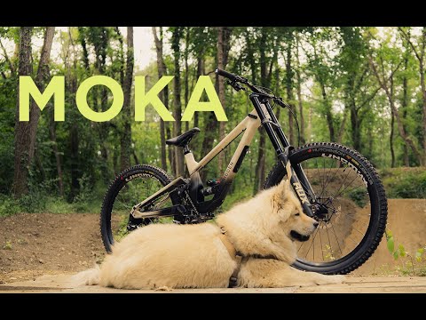 MOKA | William Robert Shows Love For His Dog and His Bike