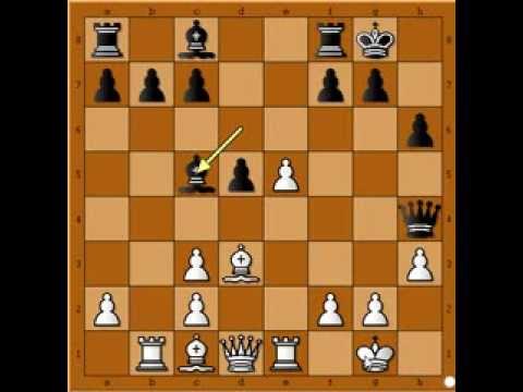 Napad na Kralja u Petrovoj odbrani - GASHIMOV vs LALIC # 337