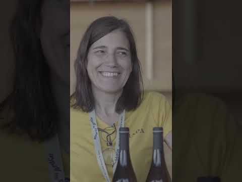 Festa Vinhos "Brancos na Praça" - Melhores momentos do primeiro dia