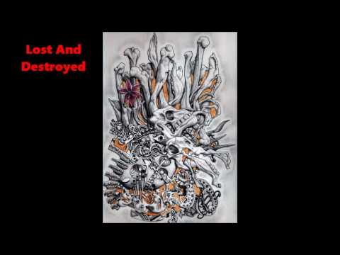 Lost And Destroyed - Cheshyre