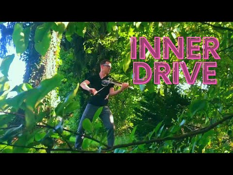Asher Laub - Inner Drive