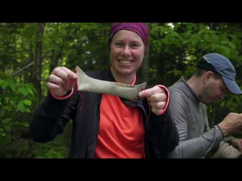 Voyageur Quest Algonquin Log Cabin Experience