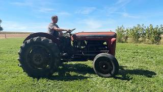 Tracteur &agrave; roues Massey Ferguson 35 | Image 4 - Agroline