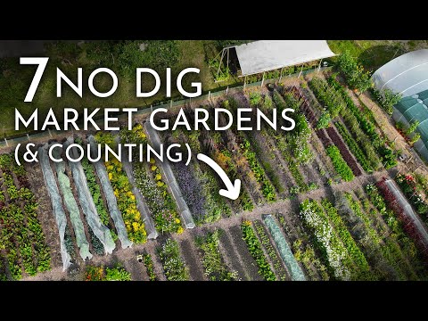 Worthy Earth: Building No-Dig Market Garden Networks