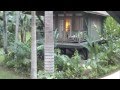 Tyrone Taylor Cottage In Negril Cover By Rian