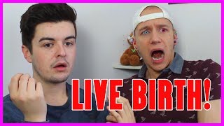 GAYS REACTING TO CHILDBIRTH